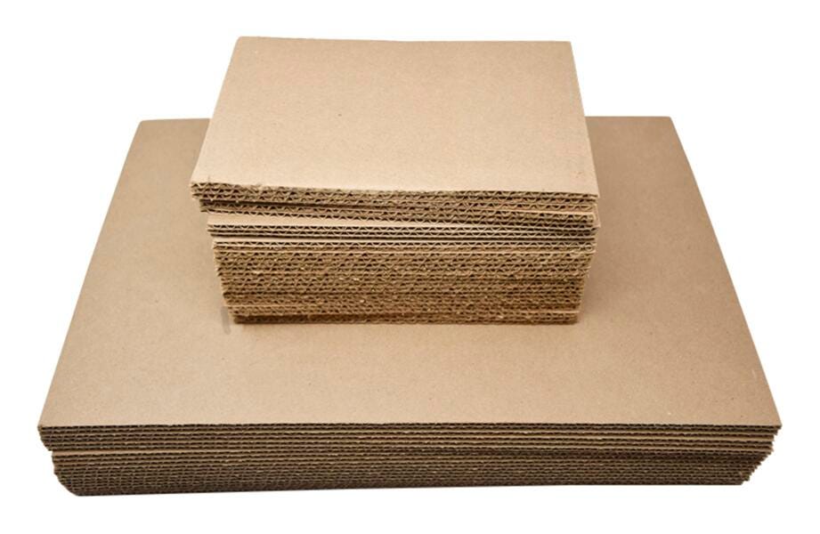 Plant Press Blotter Dryer Sheet, 12 x 18 Inches, Pack of 12 2090173