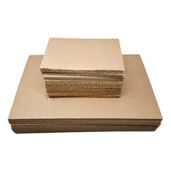 Plant Press Blotter Dryer Sheet, 12 x 18 Inches, Pack of 12 2090173