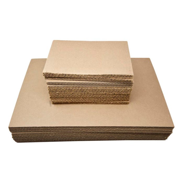 DeltaBio Plant Press Blotter Dryer Sheet, 12 x 18 Inches, Pack of 12