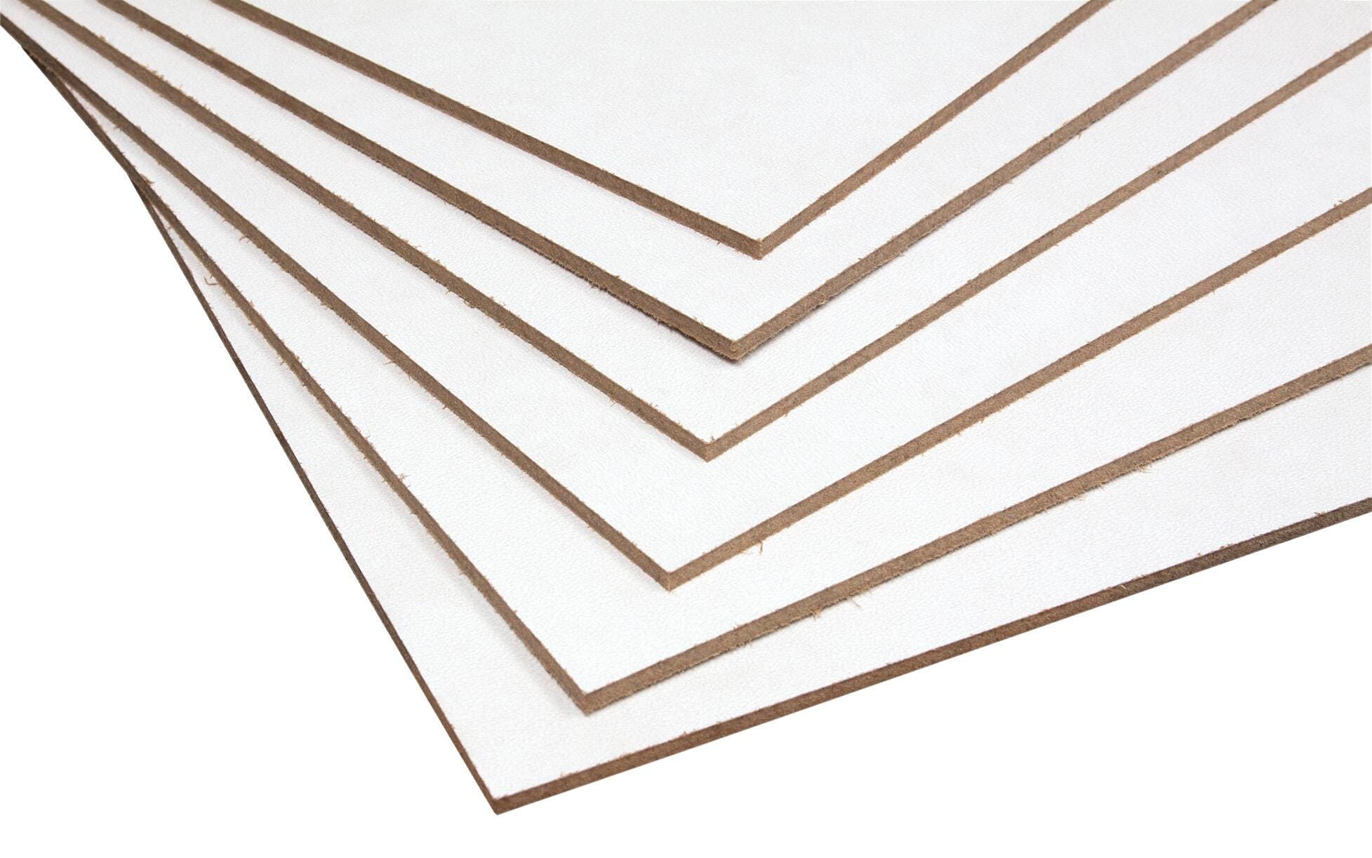 Canvas Panels, Item Number 2051460