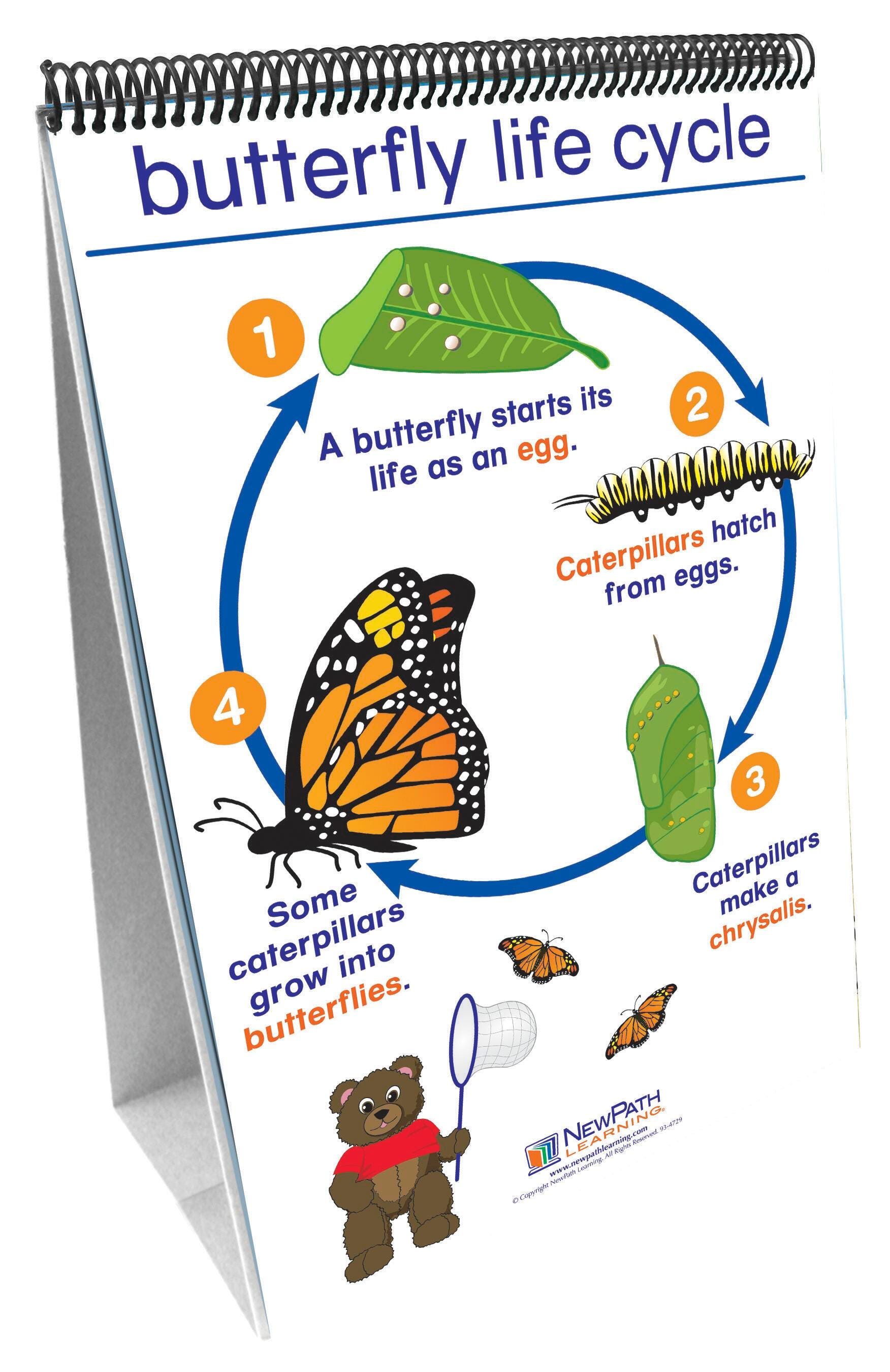 Science Manipulative Skills, Item Number 1428993