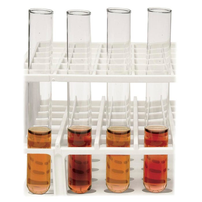 Forensic Anthropology, Item Number 1440452