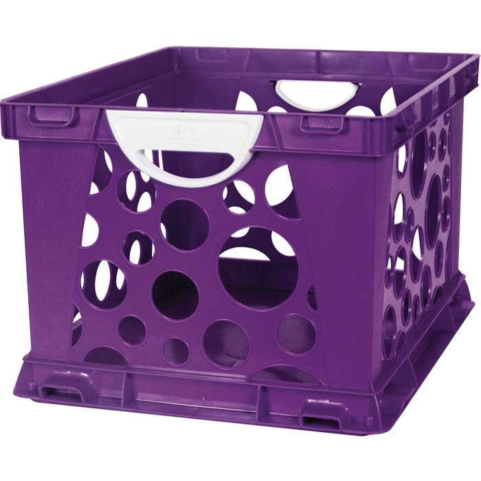 Storex 2-Color Large Crate with Handles, Purple Vine/White