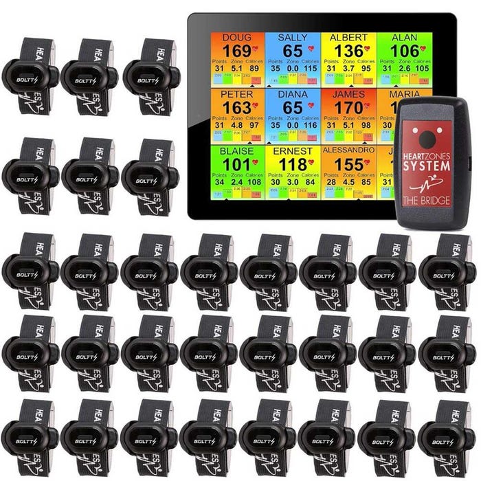 Heart Zones Step Tracker Strider System, Set of 30