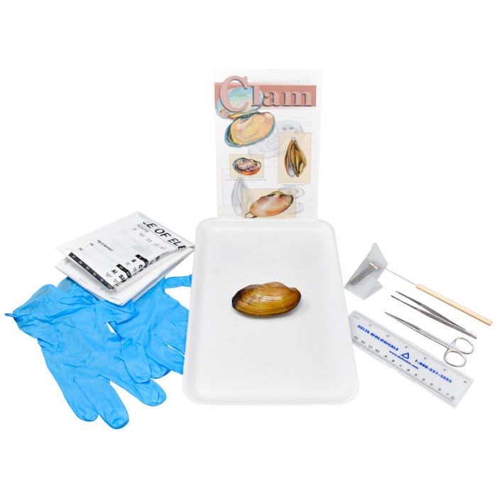 Frey Scientific Choice Preserved Fresh Water Clam Dissection Kit with Dissection Tools, 3+ Inches
