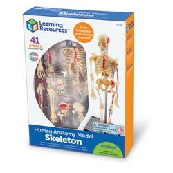 ANGLEIMAGES_FULLIMAGE