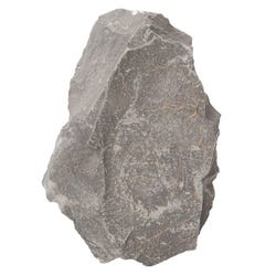 Mineral and Rock Samples, Item Number 586666