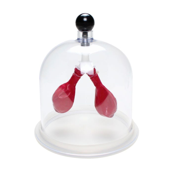 United Scientific Lung Apparatus