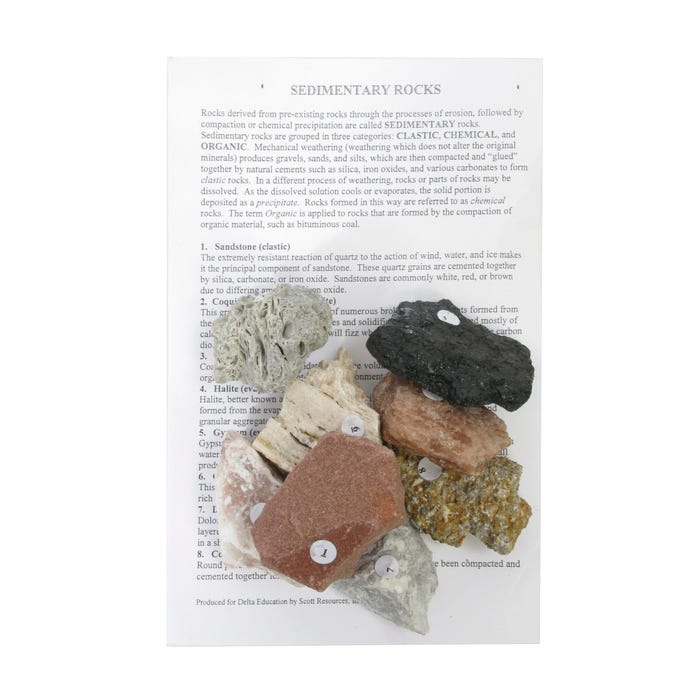 Geoscience Sedimentary Rock Set, Set of 8