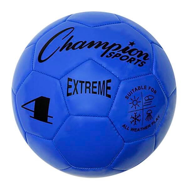 champion soccer ball