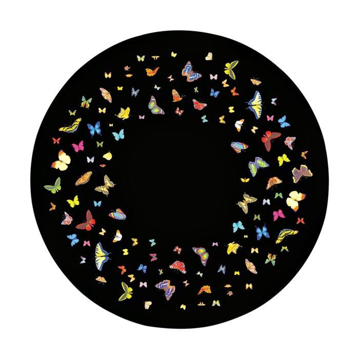 Optikinetics Abstract Effect Wheel, Summer Butterfly