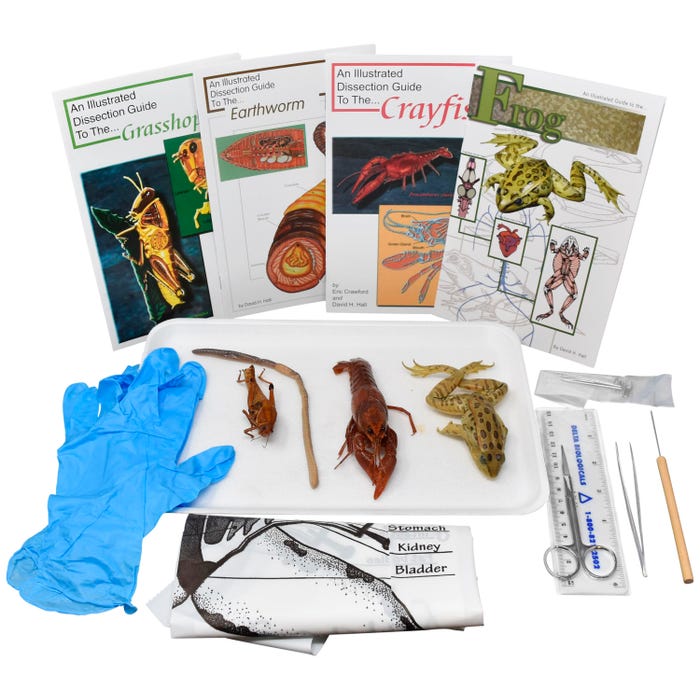 Frey Scientific Choice Animal Anatomy Dissection Kit with Dissection Tools