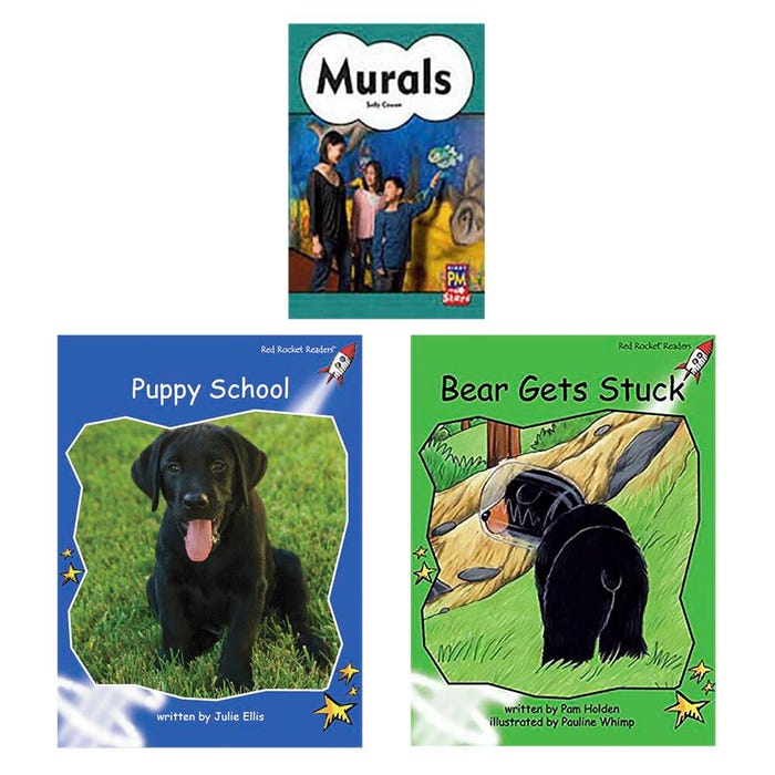 Achieve It! Multipublisher Guided Reading Level G : Variety Pack, Grade 1, Set of 16 Titles