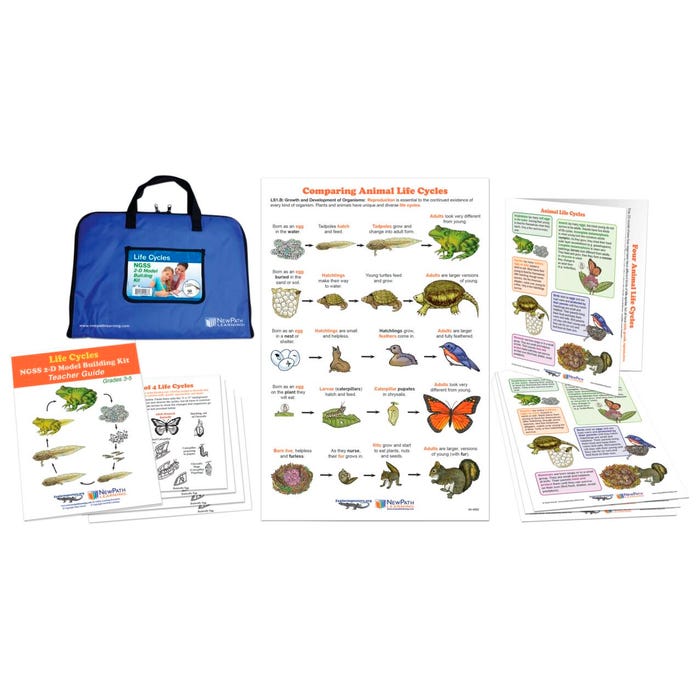 NewPath Learning Life Cycles NGSS 2D Model Building Kit