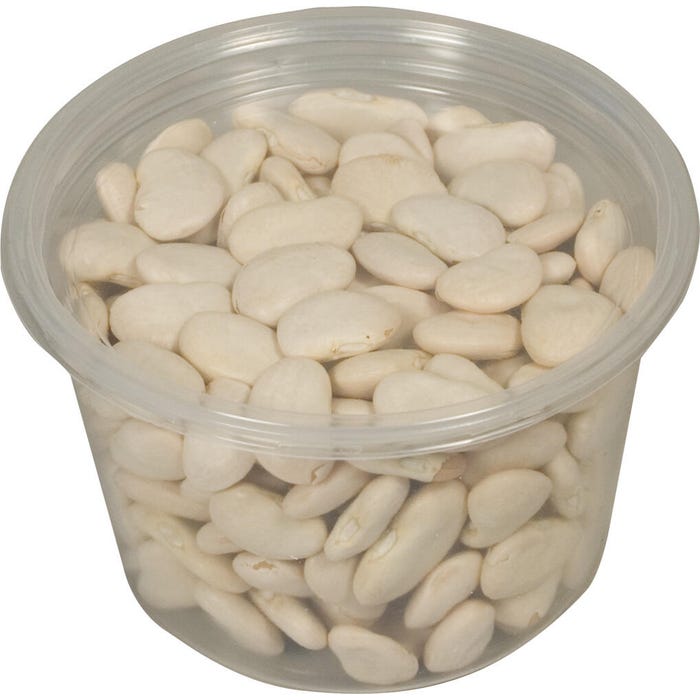 Delta Education Lima Beans, 12-1/2 Ounces, In Container