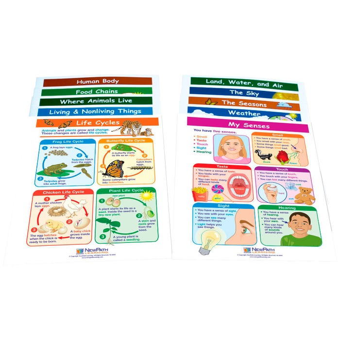 NewPath Learning Science Visual Learning Guides, Grade 1