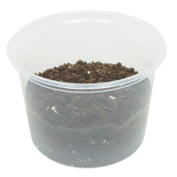 Delta Education Potting Soil, 4 Liters