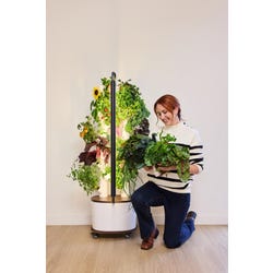 ANGLEIMAGES_FULLIMAGE