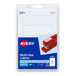 Avery Removable ID Labels, 1 x 3 Inches, Pack of 250 067681
