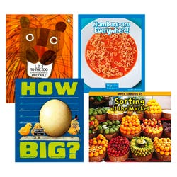 Image for Achieve It! PreK Mathematics Classroom Library from School Specialty