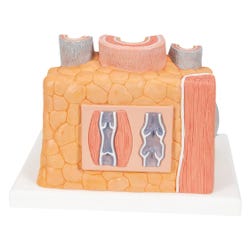 ANGLEIMAGES_FULLIMAGE