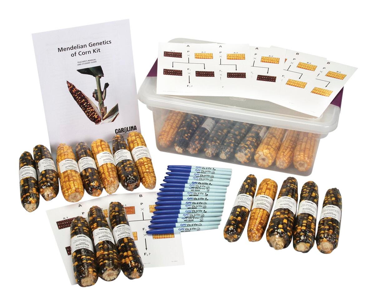 Genetics of Corn Kit 2218383