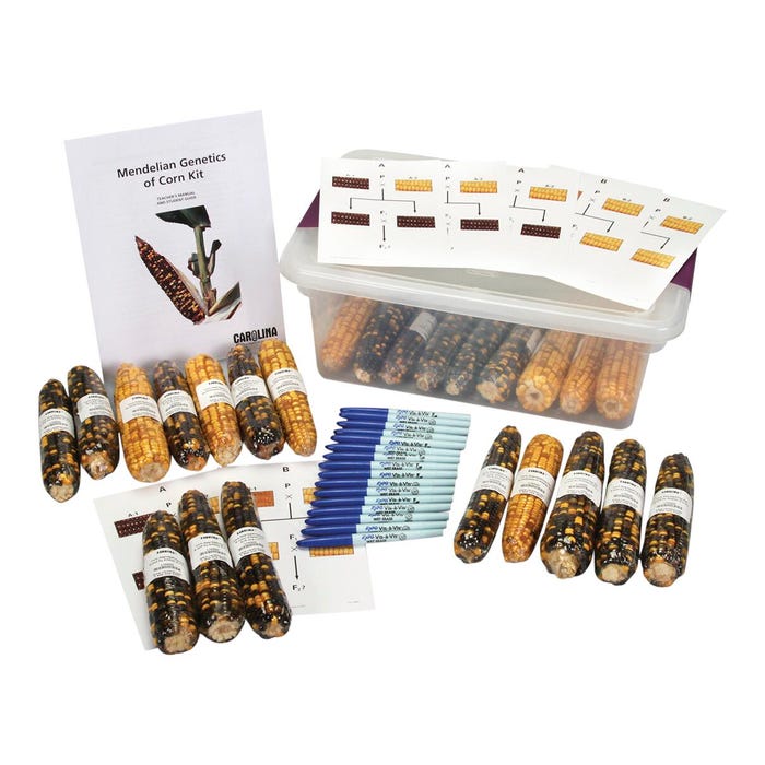 Genetics of Corn Kit