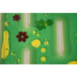 ANGLEIMAGES_FULLIMAGE