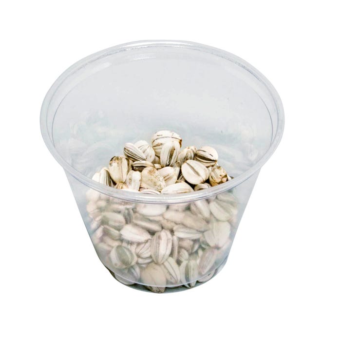 Delta Education Sunflower Seeds, 1/2 Ounce