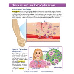 ANGLEIMAGES_FULLIMAGE