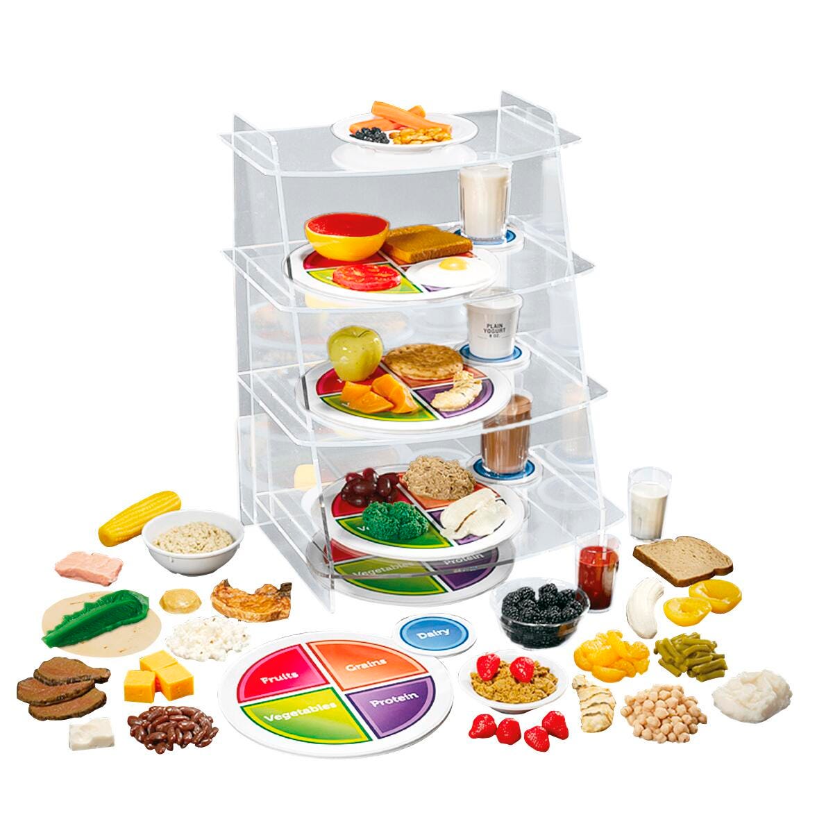 Image for American 3B Scientific My Complete Plate Kit from School Specialty