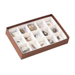 Fossils, Geologic Time, Item Number 1293010