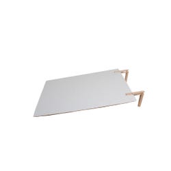 Delta Education Ramp Board, 4 x 1 Foot 181-2884