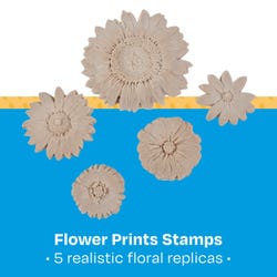 ANGLEIMAGES_FULLIMAGE