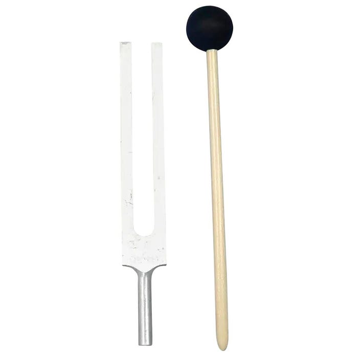 United Scientific Tuning Fork and Striker