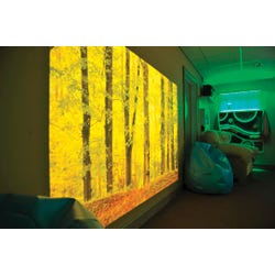 ANGLEIMAGES_FULLIMAGE