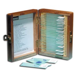 Science Survey Sets, Item Number 193-7465