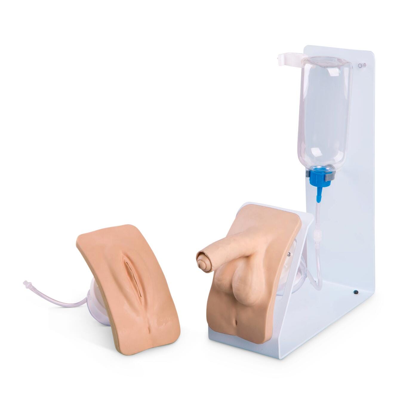 3B Scientific Catheterization Simulator Basic Trainer Set of 2