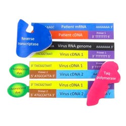 NewPath Learning Coronavirus DNA Test, 3D Model Kit, 1 Teacher Guide and 5 Student Guides 2040907