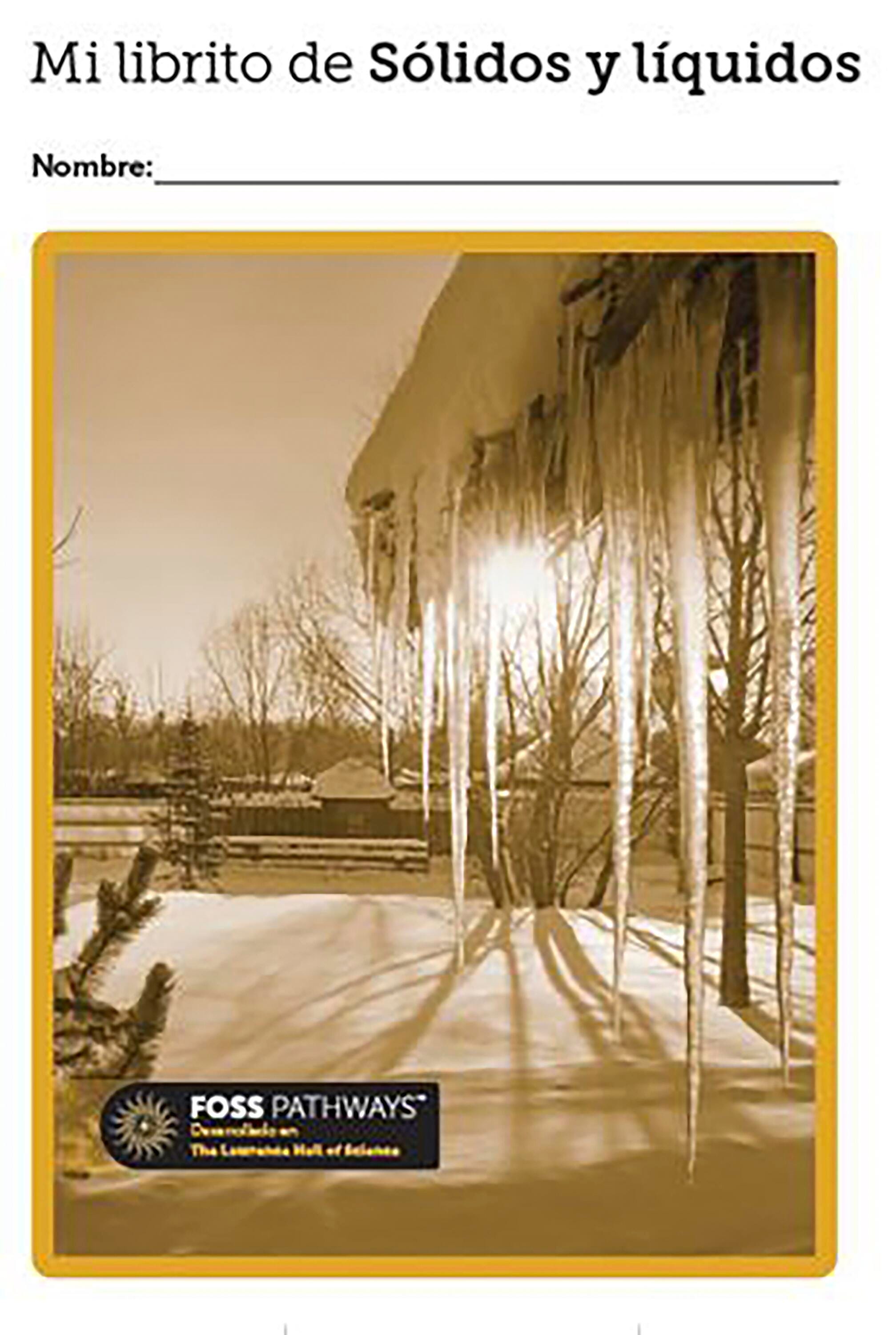 <p>FOSS Pathways Solids and Liquids Student Consumable Booklet, Spanish Edition</p> 2139389