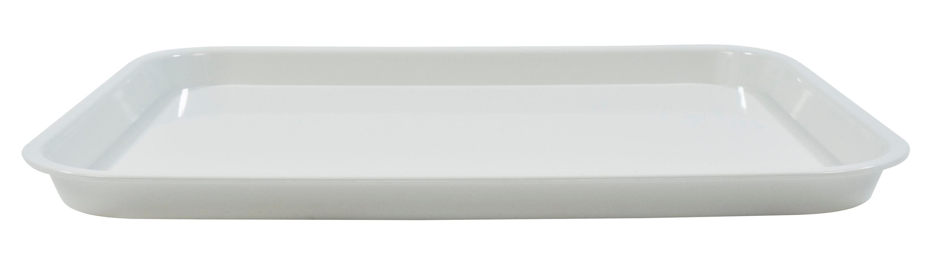 Image for School Smart Paint Tray, 10 x 12-1/2 x 1/2 Inches from School Specialty