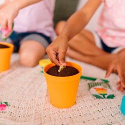 ANGLEIMAGES_FULLIMAGE