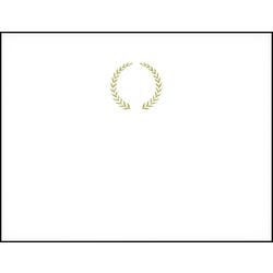 Achieve It! Blank Embossed Award, 11 x 8-1/2 inches, Gold Foil, Pack of 25 2104382