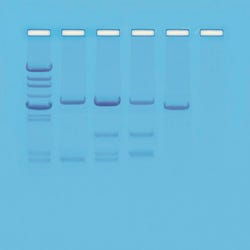 Biotechnology, Item Number 562117