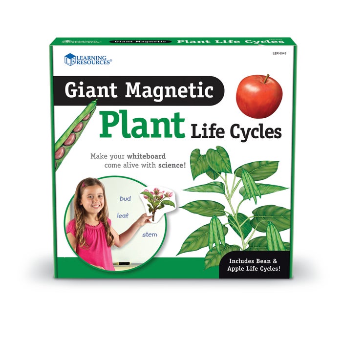 Learning Resources Giant Magnetic Plant Life Cycle