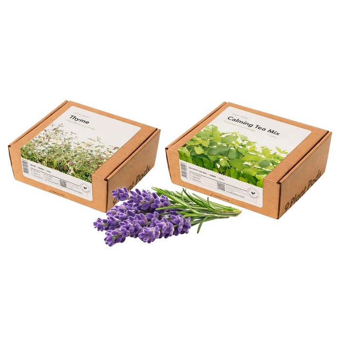 Click & Grow Health and Well-Being Bundle