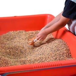 ANGLEIMAGES_FULLIMAGE