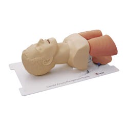 Airway Management Trainer