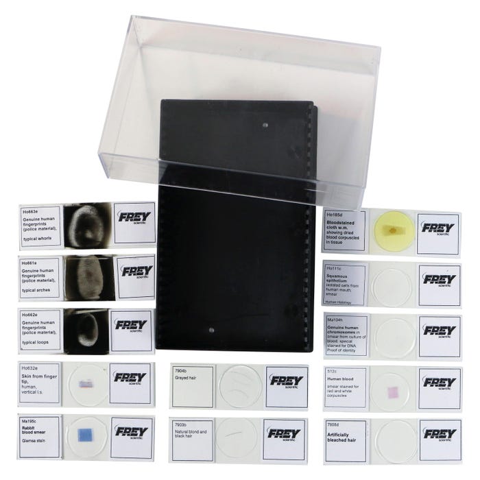 Frey Scientific Prepared Microscope Slide, Forensics, Set of 12