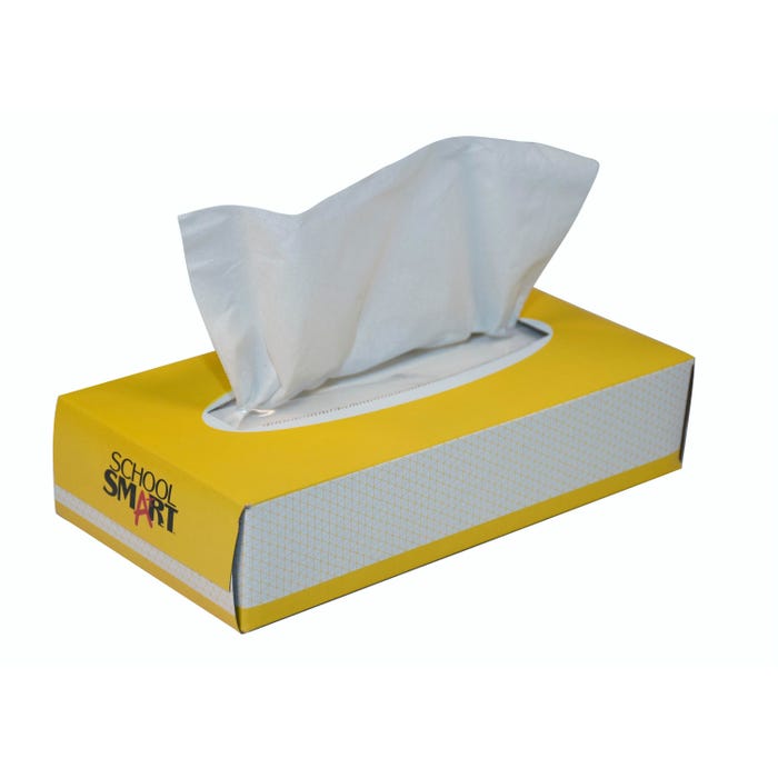 School Smart 2-Ply Facial Tissues, 100 Tissues Per Box, Pack of 30 Boxes